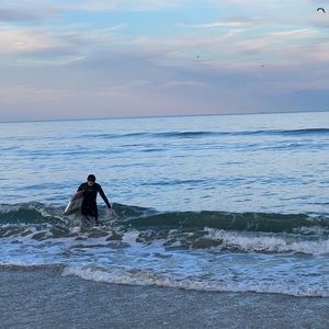 Meet your Posher, Elanore